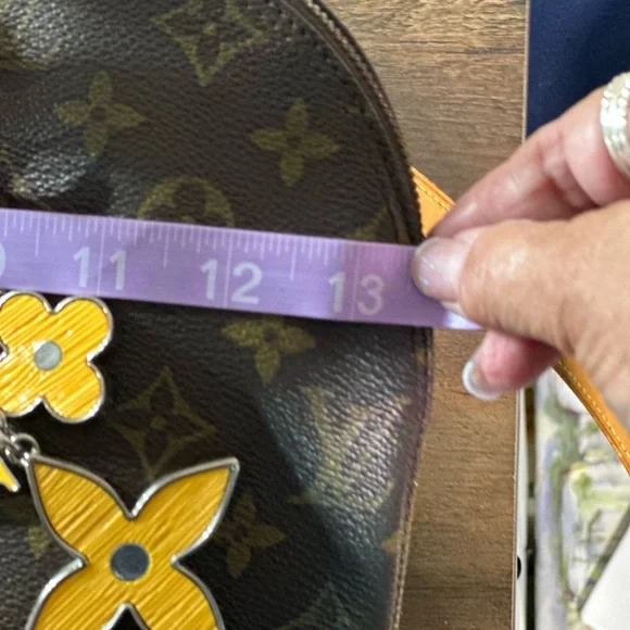 Louis Vuitton Brown and Tan Monogram with strap and keychain charm - Picture 12 of 13